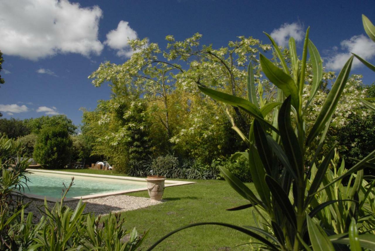 Le Coing Des Vignes Bed and Breakfast Mauressargues Exteriör bild